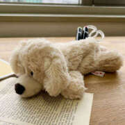 かなでちゃん 可愛い ちょい！ぽちゃロリ倶楽部Hip's馬橋店