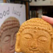 ヒメ日記 2026/02/05 14:02 投稿 かなでちゃん ちょい！ぽちゃロリ倶楽部Hip's馬橋店