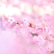 ヒメ日記 2026/03/07 13:21 投稿 かなでちゃん ちょい！ぽちゃロリ倶楽部Hip's馬橋店