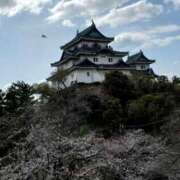 ヒメ日記 2025/03/31 00:00 投稿 りせ10/20入店 マダム可憐