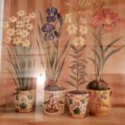 ヒメ日記 2025/06/02 17:51 投稿 りせ10/20入店 マダム可憐