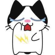 ヒメ日記 2025/06/09 08:30 投稿 りせ10/20入店 マダム可憐