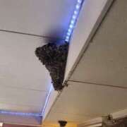 ヒメ日記 2025/06/13 23:14 投稿 りせ10/20入店 マダム可憐