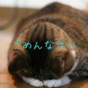 ヒメ日記 2025/07/04 07:43 投稿 りせ10/20入店 マダム可憐