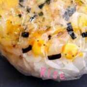 ヒメ日記 2026/01/09 13:13 投稿 りせ10/20入店 マダム可憐