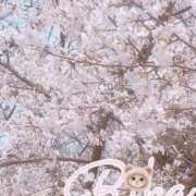 ヒメ日記 2025/02/23 23:33 投稿 りか 天使のゆびさき 船橋店(カサブランカグループ)