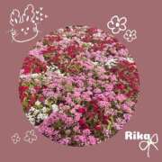 ヒメ日記 2025/10/21 12:40 投稿 りか 天使のゆびさき 船橋店(カサブランカグループ)