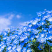 ヒメ日記 2025/04/18 08:30 投稿 なおみ 奥さま未来　立川店