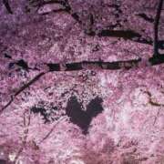 ヒメ日記 2025/04/22 22:30 投稿 なおみ 奥さま未来　立川店