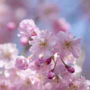 ヒメ日記 2025/05/01 09:00 投稿 なおみ 奥さま未来　立川店