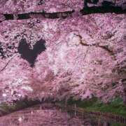 ヒメ日記 2025/05/24 23:55 投稿 なおみ 奥さま未来　立川店