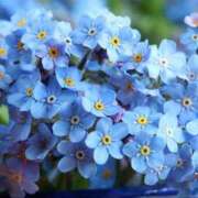 ヒメ日記 2025/07/15 09:30 投稿 なおみ 奥さま未来　立川店