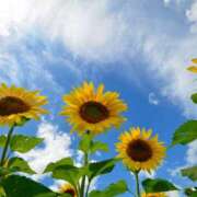 ヒメ日記 2025/07/31 13:00 投稿 なおみ 奥さま未来　立川店