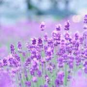 ヒメ日記 2025/08/07 10:00 投稿 なおみ 奥さま未来　立川店