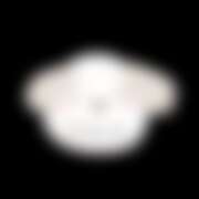 ヒメ日記 2026/01/12 10:30 投稿 なおみ 奥さま未来　立川店