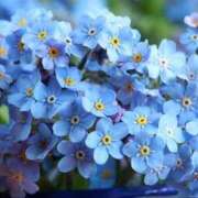 ヒメ日記 2026/03/17 21:00 投稿 なおみ 奥さま未来　立川店