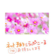 ヒメ日記 2026/08/20 13:00 投稿 なおみ 奥さま未来　立川店