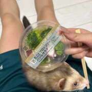 菅原さあや 本指様オススメの⭐️ 池袋性感アロマ＆スイート ALLAMANDA -アラマンダ-