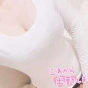 ヒメ日記 2025/11/16 08:22 投稿 まなみ 吉祥寺ミセス・シンデレラ（シンデレラグループ）