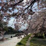 ヒメ日記 2025/04/14 22:41 投稿 (スタン)篠原ゆり/地元出身 風俗イキタイいわき店