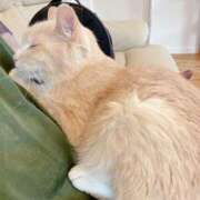 ヒメ日記 2025/04/27 00:41 投稿 (スタン)篠原ゆり/地元出身 風俗イキタイいわき店