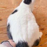 ヒメ日記 2025/05/07 21:36 投稿 (スタン)篠原ゆり/地元出身 風俗イキタイいわき店