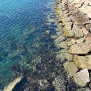 ヒメ日記 2025/05/08 19:31 投稿 (スタン)篠原ゆり/地元出身 風俗イキタイいわき店