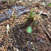 ヒメ日記 2025/05/08 21:21 投稿 (スタン)篠原ゆり/地元出身 風俗イキタイいわき店