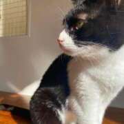 ヒメ日記 2025/05/11 00:41 投稿 (スタン)篠原ゆり/地元出身 風俗イキタイいわき店