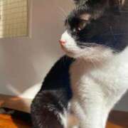 ヒメ日記 2025/09/03 23:01 投稿 (スタン)篠原ゆり/地元出身 風俗イキタイいわき店