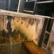 ヒメ日記 2025/10/30 19:51 投稿 (スタン)篠原ゆり/地元出身 風俗イキタイいわき店