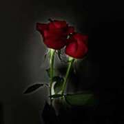 ヒメ日記 2026/01/03 23:51 投稿 (スタン)篠原ゆり/地元出身 風俗イキタイいわき店