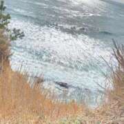 ヒメ日記 2026/03/04 22:30 投稿 (スタン)篠原ゆり/地元出身 風俗イキタイいわき店