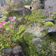 ヒメ日記 2026/05/11 22:50 投稿 (スタン)篠原ゆり/地元出身 風俗イキタイいわき店