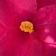 ヒメ日記 2026/03/30 18:34 投稿 宮崎 十恋人～トレンド～