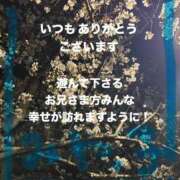 ヒメ日記 2026/04/06 09:04 投稿 宮崎 十恋人～トレンド～