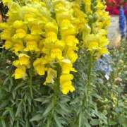 ヒメ日記 2026/04/17 22:14 投稿 宮崎 十恋人～トレンド～