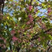 ヒメ日記 2026/04/28 16:44 投稿 宮崎 十恋人～トレンド～