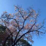 ヒメ日記 2025/03/10 05:58 投稿 えりな 京都回春性感マッサージ倶楽部