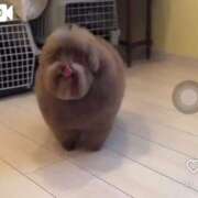 ヒメ日記 2025/08/29 17:08 投稿 えりな 京都回春性感マッサージ倶楽部