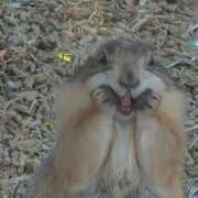 ヒメ日記 2025/08/30 12:38 投稿 えりな 京都回春性感マッサージ倶楽部