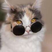 ヒメ日記 2025/05/28 22:16 投稿 如月めい 恵比寿人妻援護会 本店