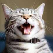 ヒメ日記 2025/06/04 18:33 投稿 如月めい 恵比寿人妻援護会 本店