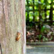 ヒメ日記 2025/08/10 13:45 投稿 日高 かほ Men's relaxation VEGA