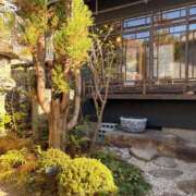 ヒメ日記 2026/01/29 11:00 投稿 日高 かほ Men's relaxation VEGA