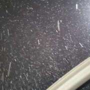 ヒメ日記 2025/02/17 22:51 投稿 みかん 三重四日市ちゃんこ