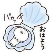 ヒメ日記 2025/06/01 06:41 投稿 みかん 三重四日市ちゃんこ