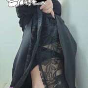 ヒメ日記 2025/06/23 12:31 投稿 みかん 三重四日市ちゃんこ