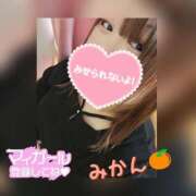 ヒメ日記 2025/07/13 23:21 投稿 みかん 三重四日市ちゃんこ