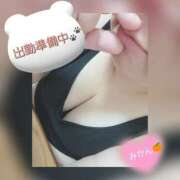 ヒメ日記 2025/08/16 13:21 投稿 みかん 三重四日市ちゃんこ